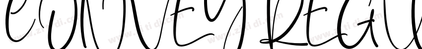 CONVEY REGULAR字体转换